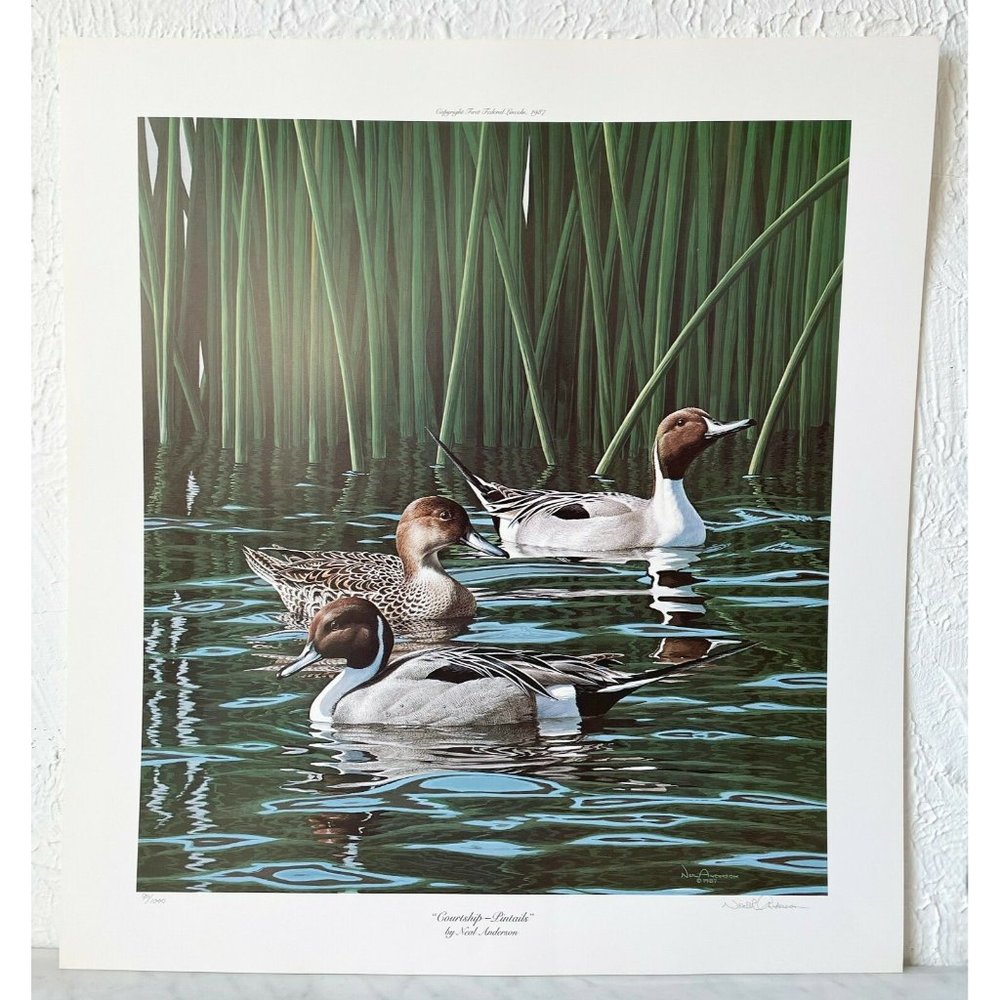 Neal Anderson Courtship-Pintails Duck Print 1997 Limited Edition Signed 901/1000
